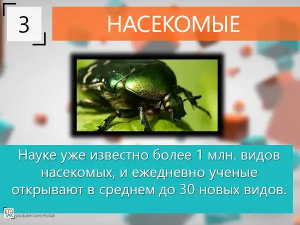 10 Интересных фактов