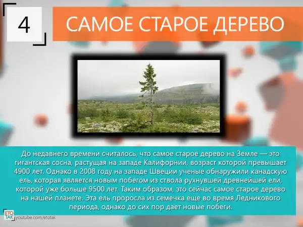10 Интересных фактов