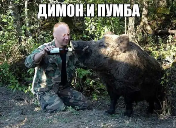 Алкоголизма пост (часть 10)