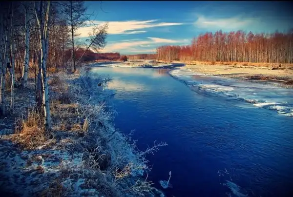 Картинки.