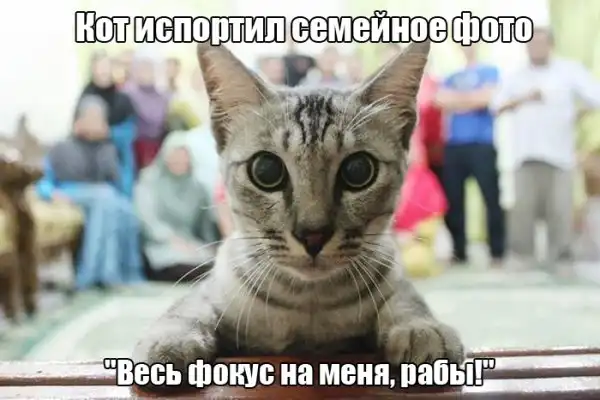 Картинки.