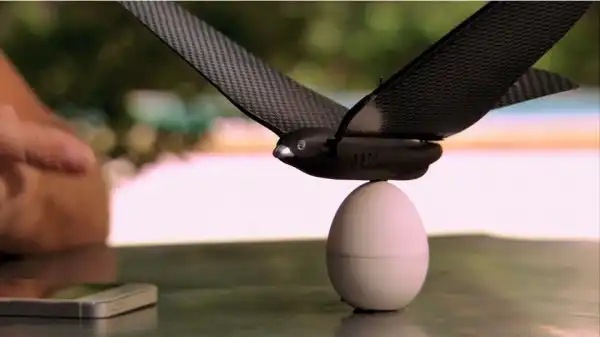 Управляемый смартфоном компактный дрон Bionic Bird