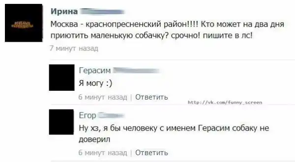 Картиночек пост номер ДВА
