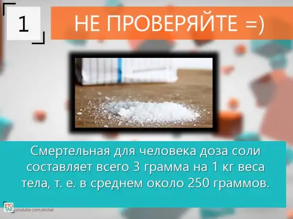 10 Интересных фактов