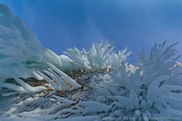 Магия Байкала. Виртуальная фотовыставка.