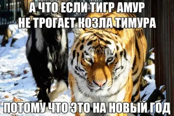 Картинки.