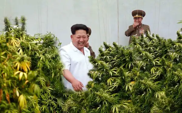 Картинки.