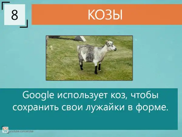 Ох у Google