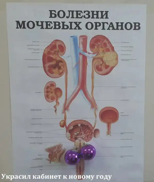Картинки.