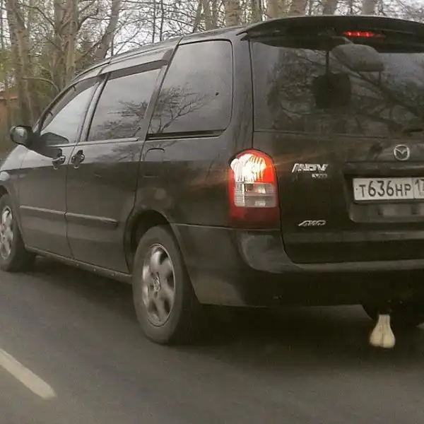 Альфа-самцы, которые шокируют своей брутальностью Альфа-самцы, которые шокируют своей брутальностью