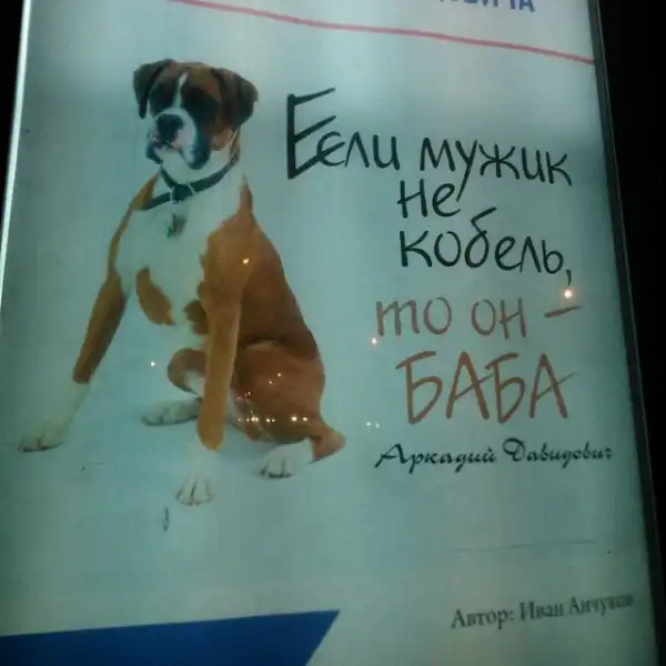 Альфа-самцы, которые шокируют своей брутальностью Альфа-самцы, которые шокируют своей брутальностью