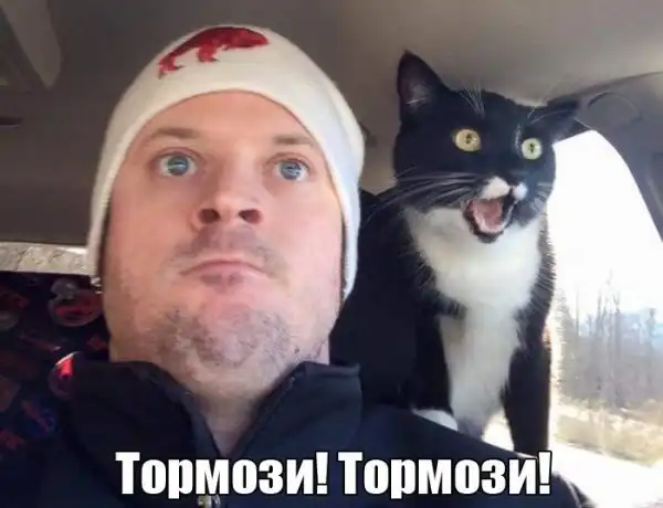 Автоприколы