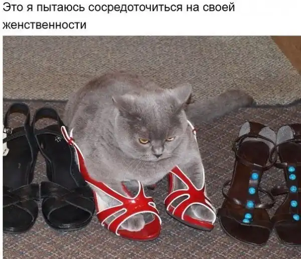 Картинко-комикс-микс