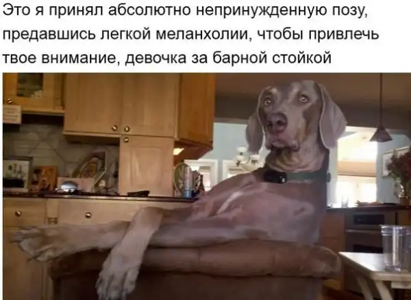 Картинко-комикс-микс