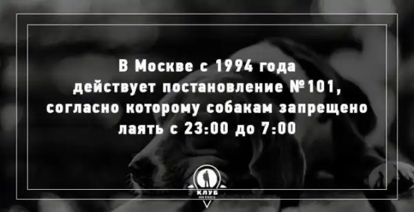 Подборка примечательных фактов о россии в картинках