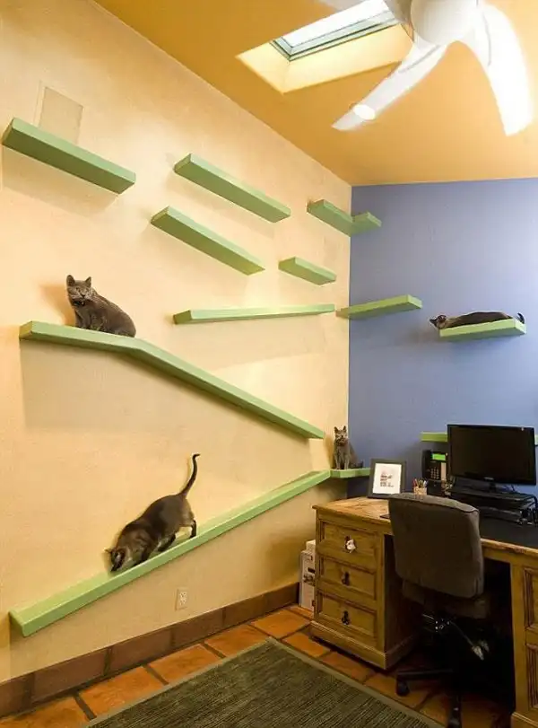 Мужчина потратил 35 000 долларов, чтобы построить роскошный дом для кошек