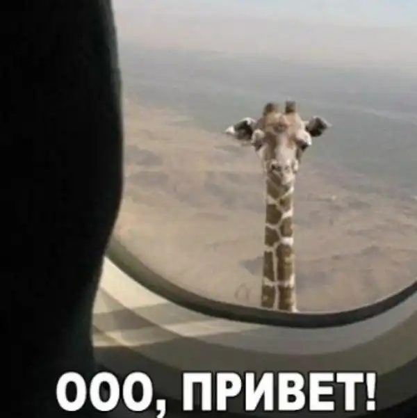 Намешанного тут