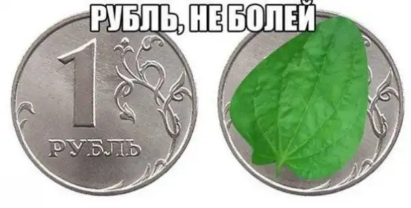 Намешанного тут