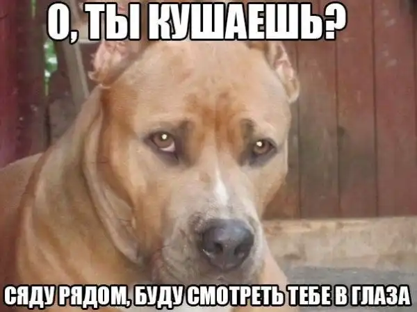 Разнообразная подборка =) доброго времени суток!
