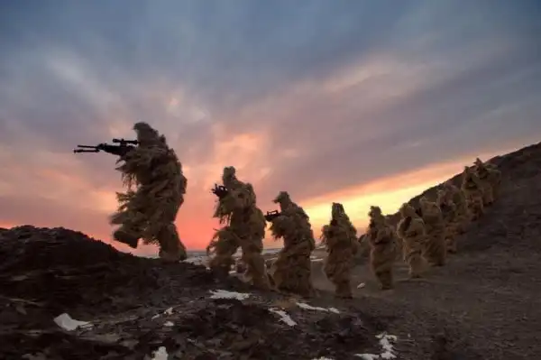 Всякие картинки