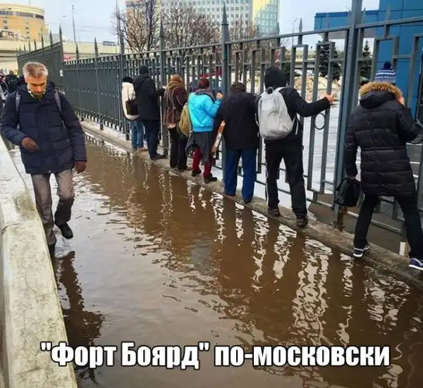 Всякие картинки