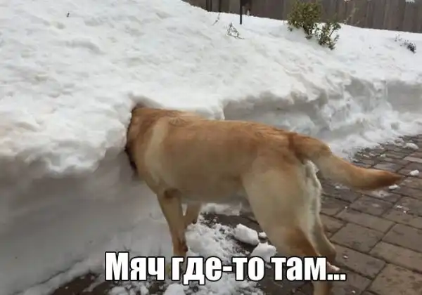 Всякие картинки