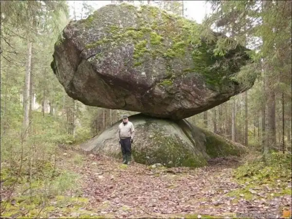 Картинки.
