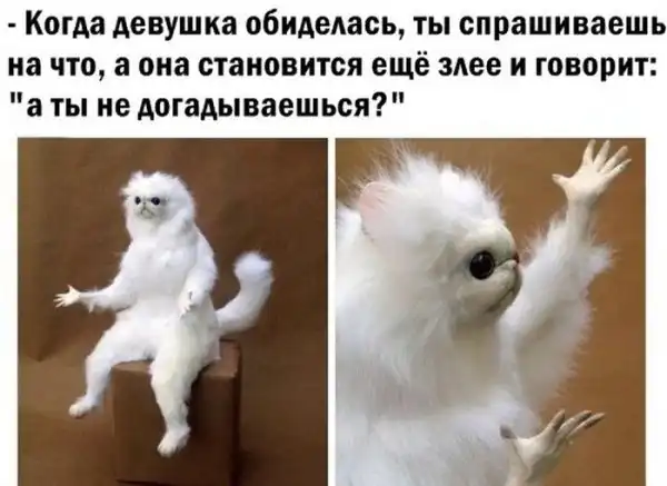 Картинки.