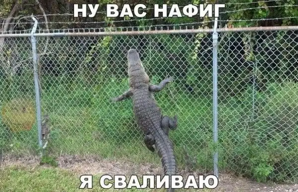 Набралось тут всякого
