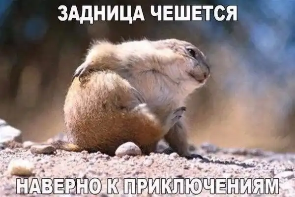Разнообразненько