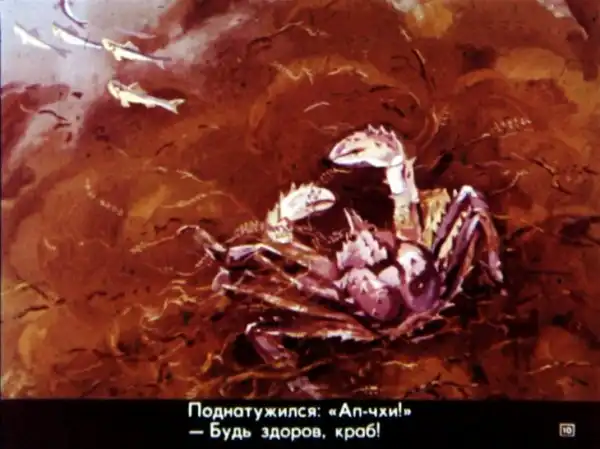 Кто живёт в холодном море (1973 г.)