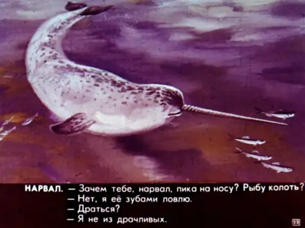 Кто живёт в холодном море (1973 г.)