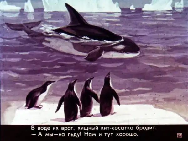 Кто живёт в холодном море (1973 г.)
