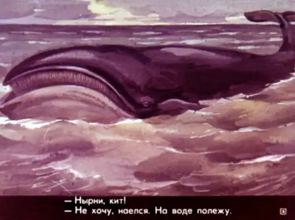 Кто живёт в холодном море (1973 г.)
