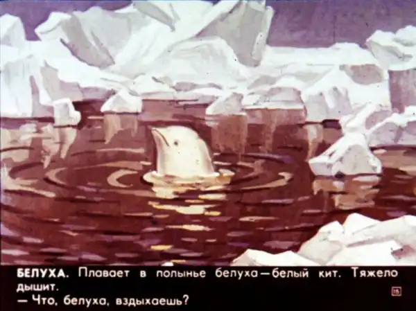 Кто живёт в холодном море (1973 г.)