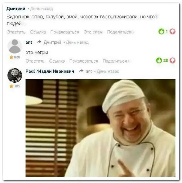 комментарии из социальных сетей.
