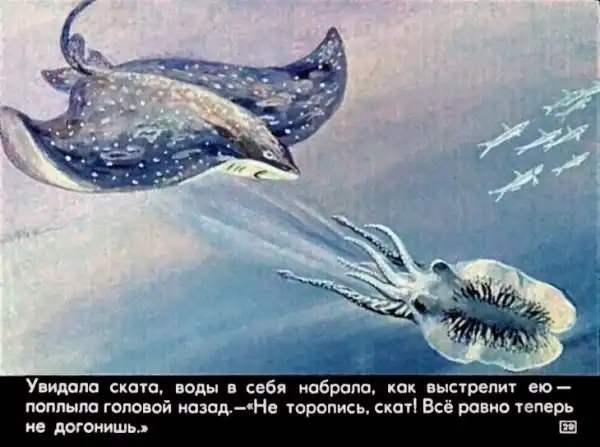 Кто живёт в тёплом море (1973 г.)