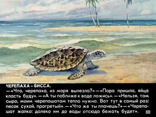 Кто живёт в тёплом море (1973 г.)