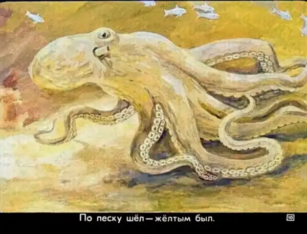 Кто живёт в тёплом море (1973 г.)