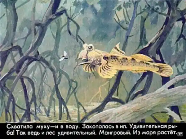 Кто живёт в тёплом море (1973 г.)