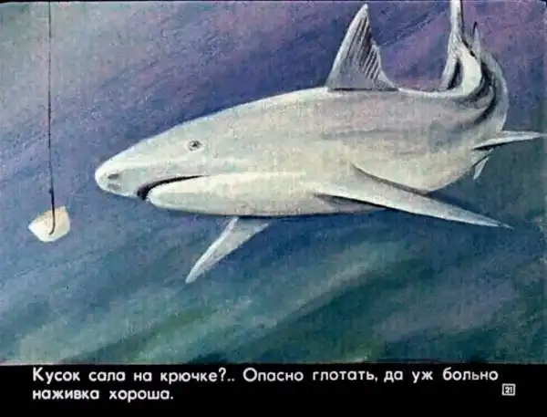 Кто живёт в тёплом море (1973 г.)