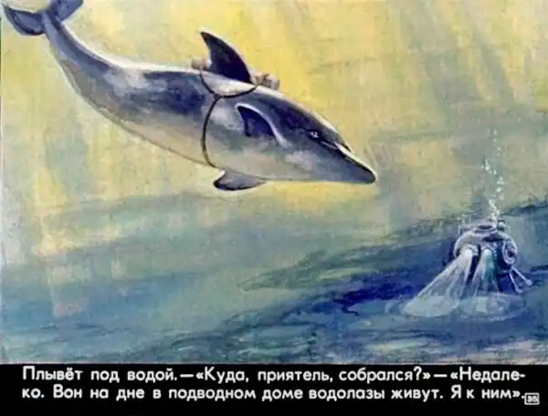 Кто живёт в тёплом море (1973 г.)