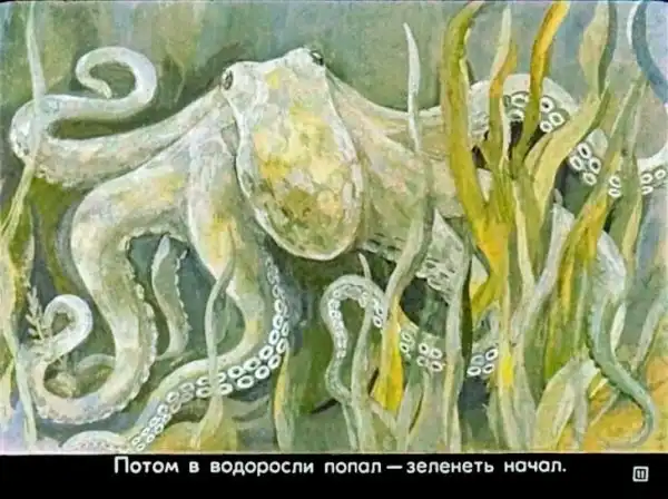 Кто живёт в тёплом море (1973 г.)