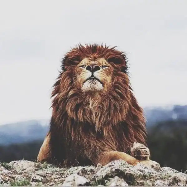 Разнообразная подборка =)