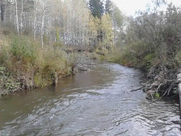 Путешествие в Ларинский заказник.