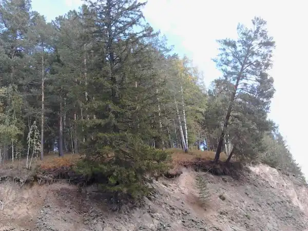 Путешествие в Ларинский заказник.