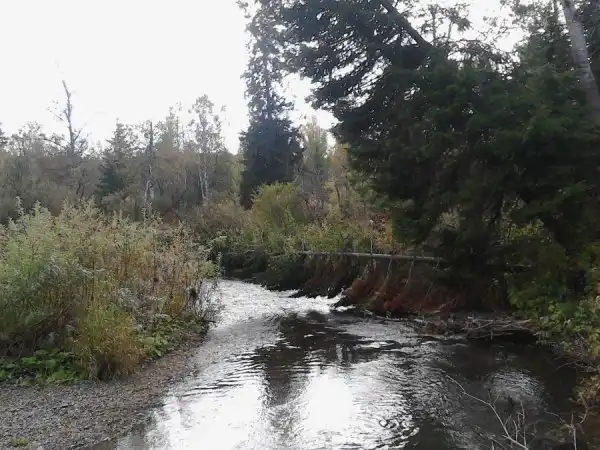 Путешествие в Ларинский заказник.