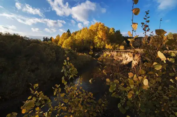 Путешествие в Ларинский заказник.
