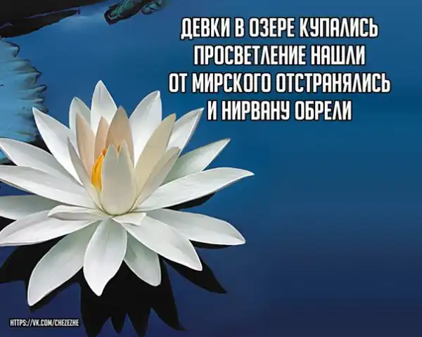 Разнообразная подборка =) Улыбок!