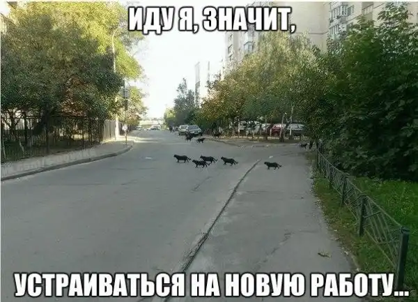 Разнообразная подборка =) Хорошего настроения!
